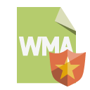file,format,wma,shield icon