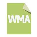 file,format,wma icon