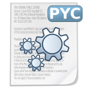 source,pyc icon