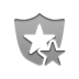 security,star icon