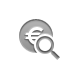 coin,euro,zoom icon