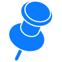 pin icon