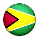 flag,guyana,country icon