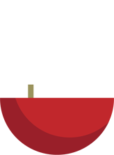 boat icon