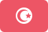tunisia icon
