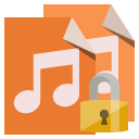 file,type,audio,lock icon