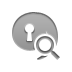encrypt,zoom icon