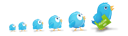 birds, twitter icon