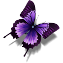 butterfly icon