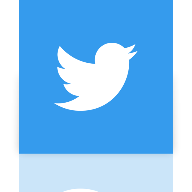 twitter,new,mirror icon