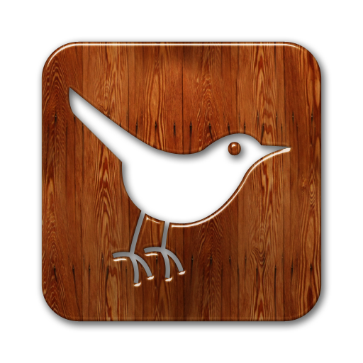 twitter,bird,square,animal,social network,social,sn icon