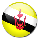 brunei,flag,country icon
