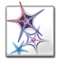 adobe,cs icon