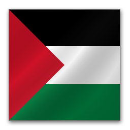 palestine icon