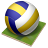 volleyball icon