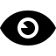 eye icon