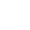 styling icon