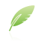 green, quill icon