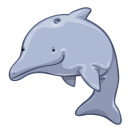 dolphin icon