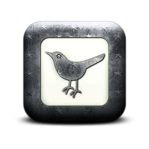 twitter,bird,square,animal,social network,social,sn icon