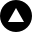 circledbordertriangleup icon