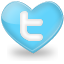 twitter,social network,social,sn icon