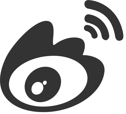 Sina svg vector icon
