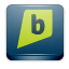 brightkite icon