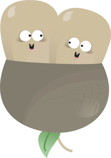 twins icon