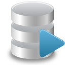 sql,runner icon