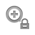 zoom,lock icon