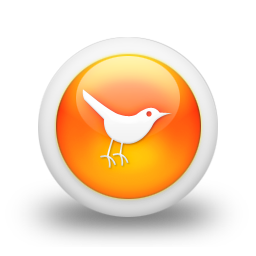 twitter,bird,animal,social network,social,sn icon