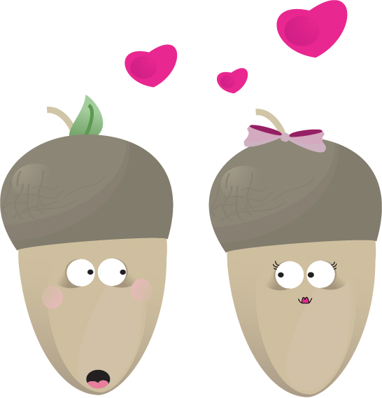 mister,and,miss icon