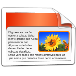 presentation icon