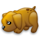 dog,animal icon