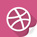 circle, connection, dribbble, flag, network, social, sports icon