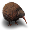 kiwi,flightless,bird,animal icon