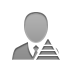 administrator,pyramid icon