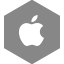 apple icon