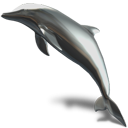animal, dolphin icon