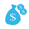 money,bag icon