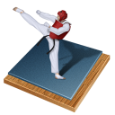 px, taekwondo icon