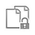 copy,lock,open icon