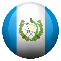 gt icon