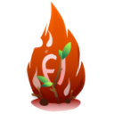 flash icon