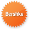 bershka icon