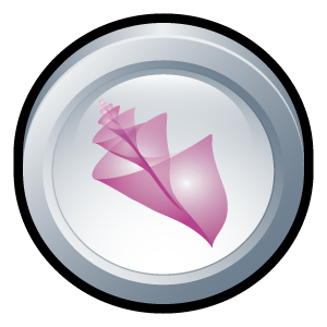 adobe,bridge,cs,badge icon