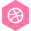 dribbble icon