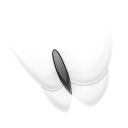 msn,explorer icon