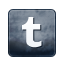 tumblr icon